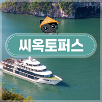 원데이 이미지 8